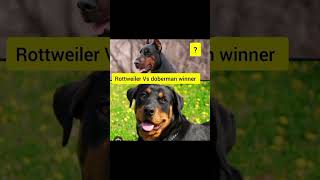 viralvideo doberman Vs Rottweiler winner [upl. by Yaakov]