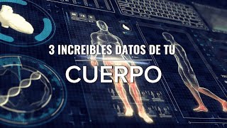 3 Datos Increíbles del Cuerpo Humano 🧠👀 ¡Te Sorprenderán [upl. by Orgalim]