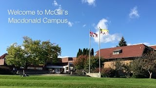 Discover McGill’s Macdonald Campus [upl. by Madaih500]