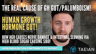 The Real Cause Of Gh GutPalumboism High Blood Sugar Nerve Damage SIBO [upl. by Harmaning]