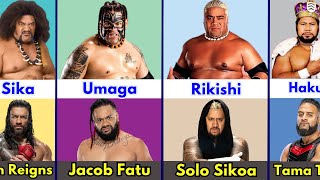 WWE Dad and Sons Anoai family [upl. by Assetnoc372]