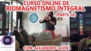 Biomagnetismo Integral Curso completo Parte 18  Alejandro Lavín [upl. by Merri920]