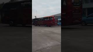 ANT TRANS NEW SCANIA K310 IB JAKARTAJOGJAscania jakarta jogja nusantaragemilang cileungsi [upl. by Feirahs995]