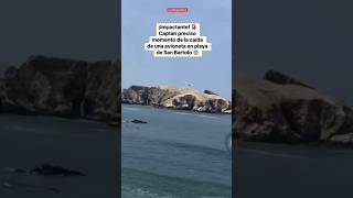 Captan preciso momento de la caída de una AVIONETA en SAN BARTOLO shorts lr [upl. by Grevera]