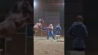 😓 equestrian fyp trend viral blowup horse quarterhorse hunterjumper [upl. by Wolsky]