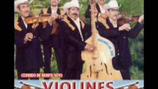 DIMAS DE LEON VIOLINES DEL SUR [upl. by Amsab499]