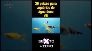 Aquários 30 peixes para água doce shorts 5 [upl. by Eneiluj148]