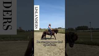 De overgang naar draf op een volte met een IJslander horsetrainer horse paarden equestrian fy [upl. by Dygert777]