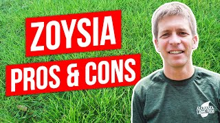 Zoysia Grass Lawn Pros Cons and Tips [upl. by Atinrahc]