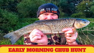 river chub fishing  Coarse fishing uk [upl. by Pinter122]