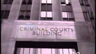 Genovese Crime Family english documentary part 2 [upl. by Nnav]