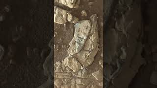 Potential Fossils Found On Mars [upl. by Ellenaj]