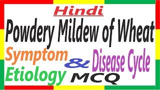 Powdery Mildew of Wheat Symptom Etiology Disease Cycle and MCQ  Plant Pathology  PAC 5 [upl. by Akerehs182]