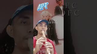 Apt Easy Recorder Tutorial Cover apt rose brunomars recorder flute tutorial viralshorts [upl. by Aihsrop]