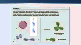 Chemistry Vignettes Hybridisation [upl. by Ilohcin]