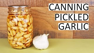 Canning Pickled Garlic  A Great and Tasty Way to Preserve Your Garlic [upl. by Alletniuq727]