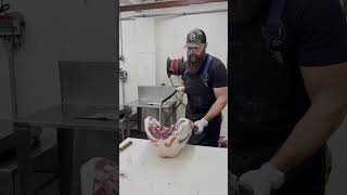 🔪 Splitting the hind quarter on a deer 🦌 shorts deer venison butcher [upl. by Eirak]