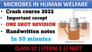 Microbes in human welfare class 12  one shot revision for term 2 amp Neet in hindi [upl. by Whitten]