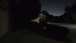 DJI Osmo Action 5 Pro SuperNight Mode 真係咁勁 [upl. by Koetke]