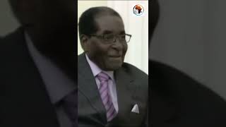 What Mugabe Told Putin [upl. by Ecinreb]