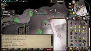 ANTI PKING WILDY COURSE TILL 70 AGILITY [upl. by Divadleahcim]