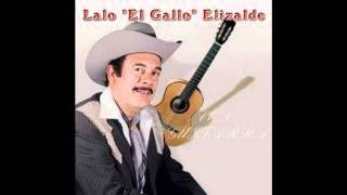 Lalo El Gallo Elizalde Besame Morenita [upl. by Hulen]