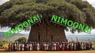 NIMOONA  Sirba Haaraa Weellisaa Liiban daadhii quotAbdiisaquot Anatu oromomusic [upl. by Kalikow]