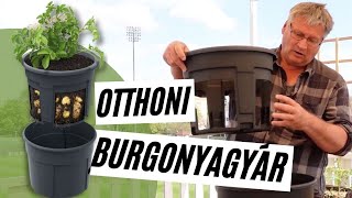 Innovatív burgonyaültetés otthon  új burgonya egész szezonban│ Kreatív Farmer [upl. by Leirbag]