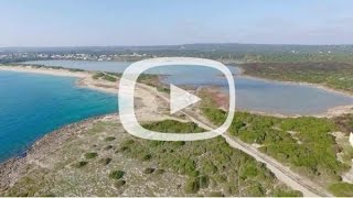 Torre Colimena e le Saline vista drone [upl. by Ayouqes]