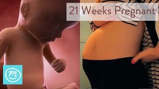 21 Weeks Pregnant What You Need To Know  Channel Mum [upl. by Scopp]