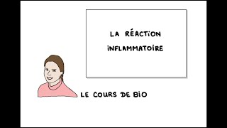 La réaction inflammatoire [upl. by Enilreug]