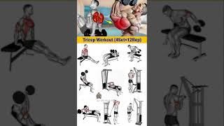 Tricept Workout triceps tricepsworkout triceratops tricepsfordays [upl. by Ramedlav113]