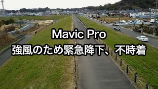 Mavic Pro緊急降下、不時着 [upl. by Un474]