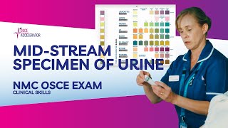 NMC OSCE  Mid Stream Specimen of Urine  OSCE Guide [upl. by Farkas]