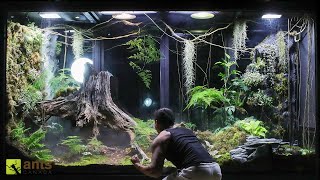 A War Broke Out in My Giant Rainforest Vivarium [upl. by Niven]