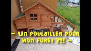 Nouvelle maison pour mon furet  1 [upl. by Prunella]