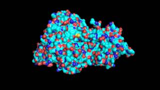 Estructura Tirosinasa  Tyrosinase [upl. by Odlabu]