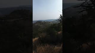 Natural beauty naturallifeb satisfying naturalclips naturelife plants shortsvideo [upl. by Ursas989]