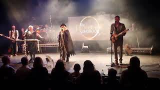 The Fleetwood Mac Songbook UK Tribute perform The Chain [upl. by Inohs284]