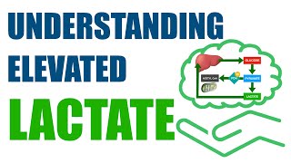 Understanding Elevated Lactate [upl. by Aim143]