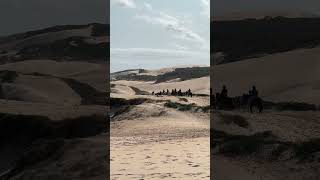 Serene Views at Sardinia Bay Beach 🌊  Gqeberha Eastern Cape South Africa beach 4k prores [upl. by Eiblehs395]