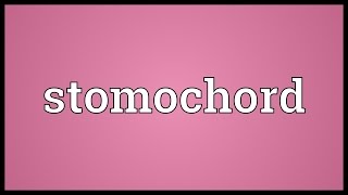 Stomochord Meaning [upl. by Macdonald]