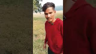 बारनवापारा अभ्यारण  barnavapara abhyaran  minivlog minisort [upl. by Leirrad]