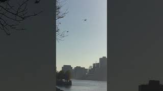 Military Helicopters Flying in Formation over Manhattan shorts [upl. by Rahm]