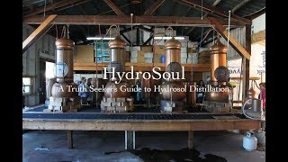 HydroSoul  A Truth Seekers Guide to Hydrosol Distillation [upl. by Barbaresi]