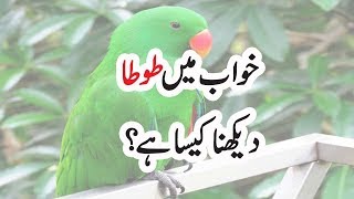 Khawab Ki Tabeer  Khawab Mein Tota Dekhna Kesa Hy  Dreaming Of Parrot [upl. by Haman625]