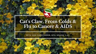 Cat’s Claw From Colds amp Flu to Cancer amp AIDS [upl. by Paula]