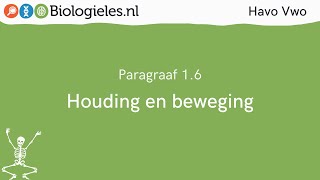 Havo Vwo 1  Stevigheid en beweging  6 Houding en beweging  Biologielesnl [upl. by Aizirtap675]