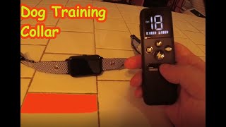 Dog Care TC05 Training Collar Unboxing And Review [upl. by Kerianne]