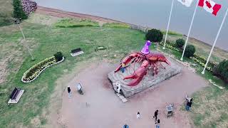 Giant Lobster in Shediac Canada canadalife🇨🇦🇨🇦 douyin xuhuong travel fishing holiday trend [upl. by Allveta421]